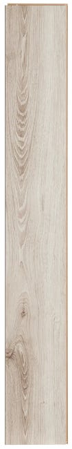 Panele podłogowe laminowane Dąb Parys AC5 8 mm Promo Flooring