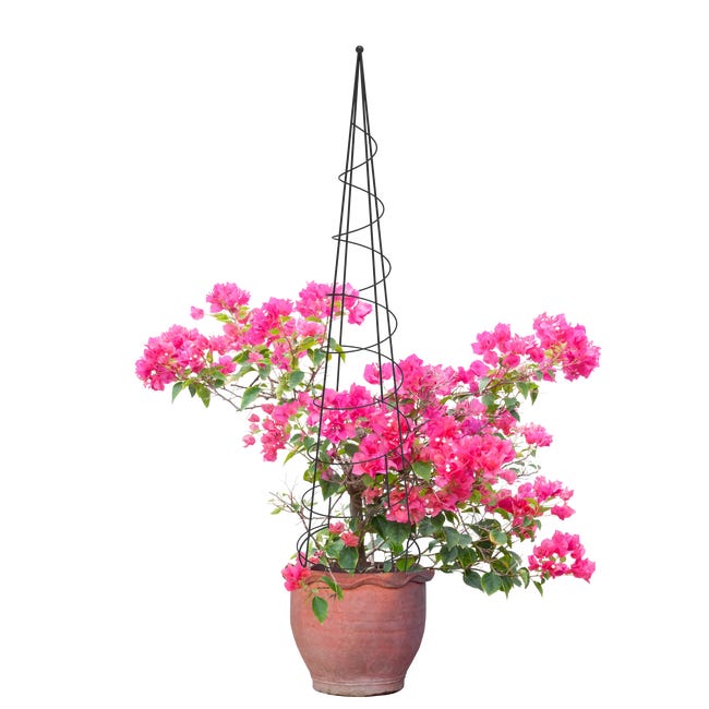 Pergola ogrodowa obelisk 150x31,5 cm metalowa Lustan