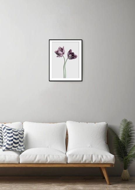 Plakat Tulipany 30 x 40 cm