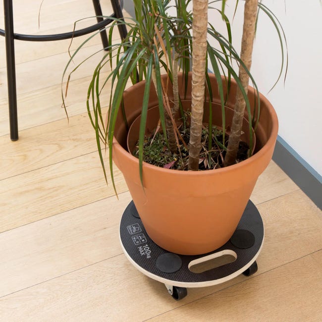 Platforma transportowa max. obciążenie 100 kg Standers