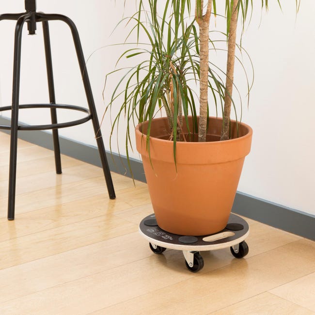 Platforma transportowa max. obciążenie 100 kg Standers