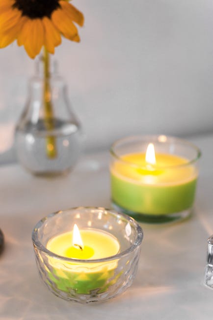 Podgrzewacz zapachowy maxi True Scents zielona herbata 8 szt. Bolsius