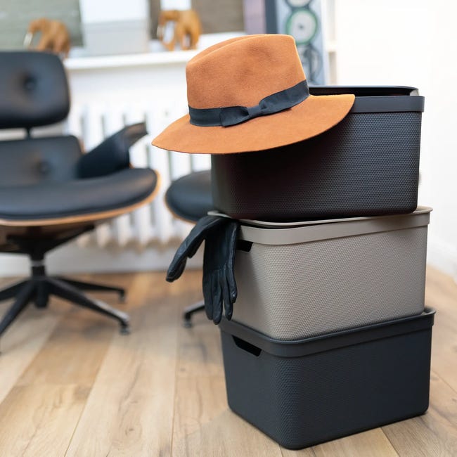 Pudełko z pokrywą 5 l 26.5 x 13.5 x 18.5 Rotho Jive