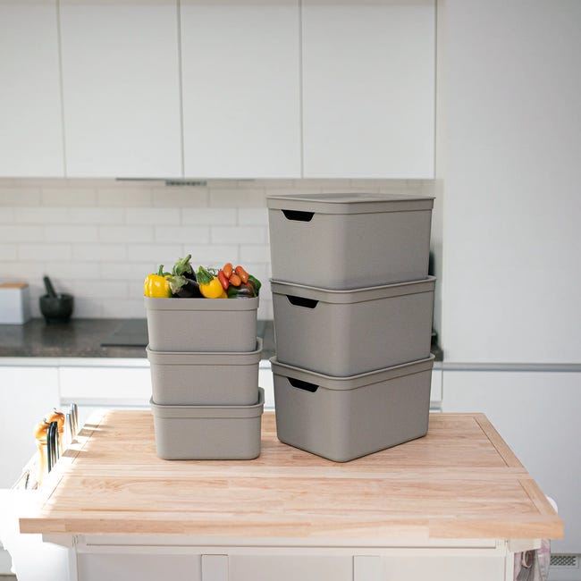 Pudełko z pokrywą 5 l 26.5 x 13.5 x 18.5 Rotho Jive