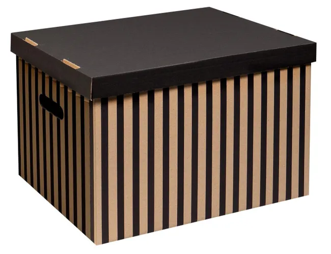 Pudło Pasy 48 l 46 x 32 x 33 cm 2 szt.