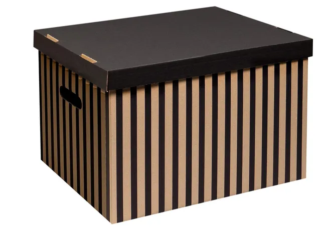 Pudło Pasy 48 l 46 x 32 x 33 cm 2 szt.