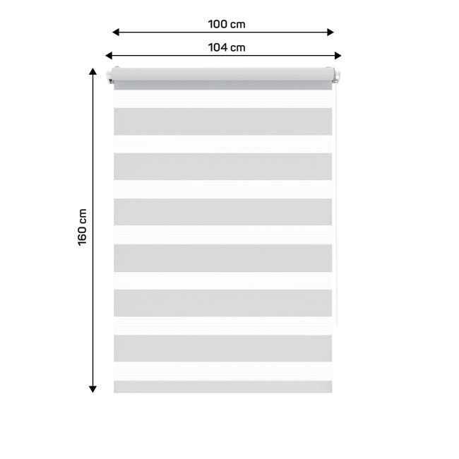 Roleta dzień noc Peter 100 x 160 cm srebrna z systemem click Inspire