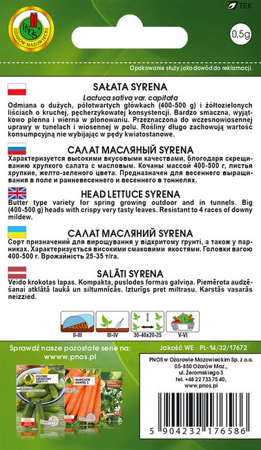Sałata masłowa głowiasta Syrena nasiona tradycyjne Pnos