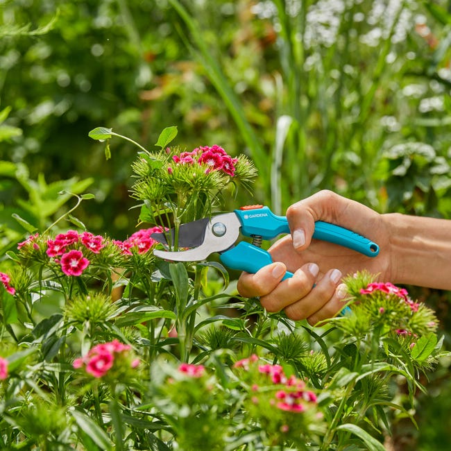 Sekator nożycowy do gałęzi Gardena