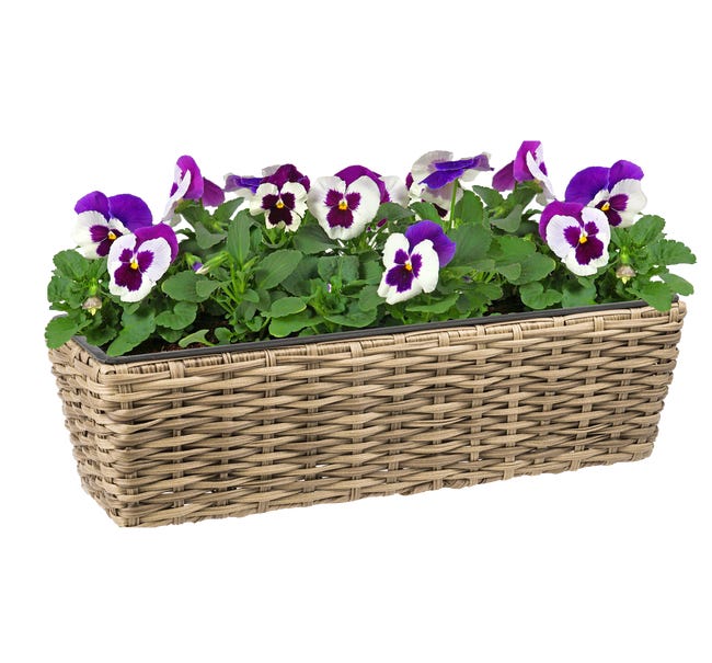 Skrzynka balkonowa 62x21 cm technorattanowa brązowa