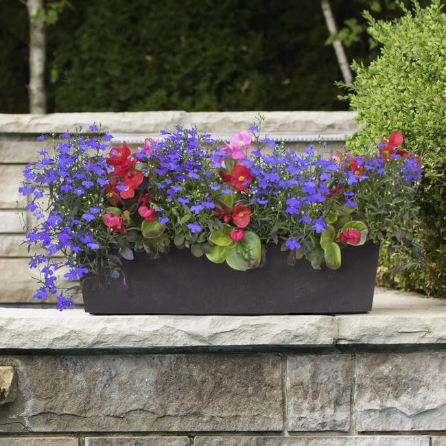 Skrzynka balkonowa Sonata 61x15x15 cm czarna Tierra Verde