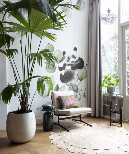 Tapeta panoramiczna dziecięca Panda Midi 159 x 280 cm