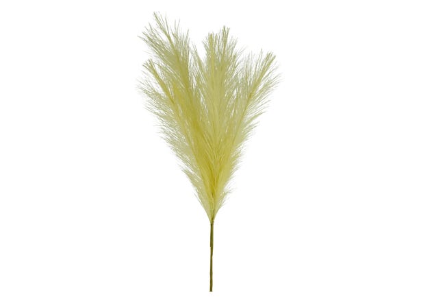 Trawa pampasowa 60cm mix