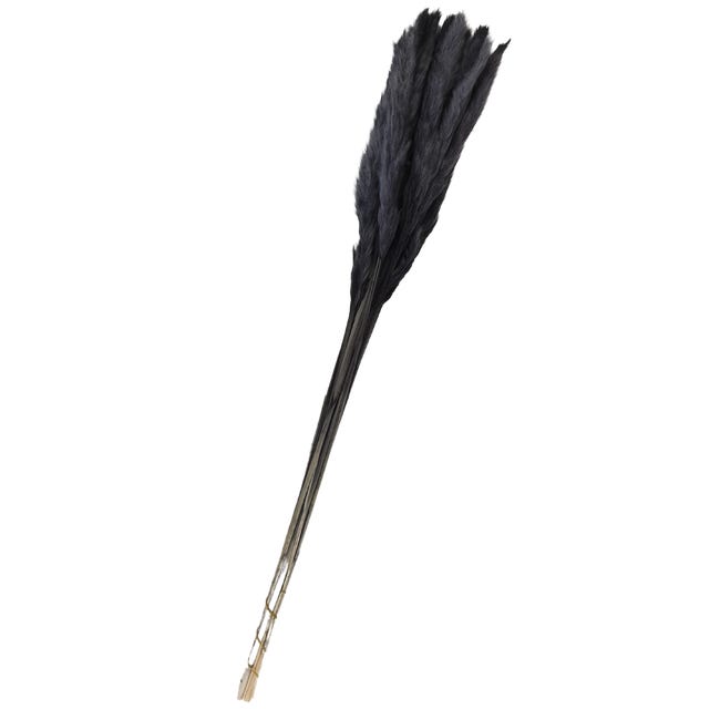 Trawa pampasowa źdźbło 105cm