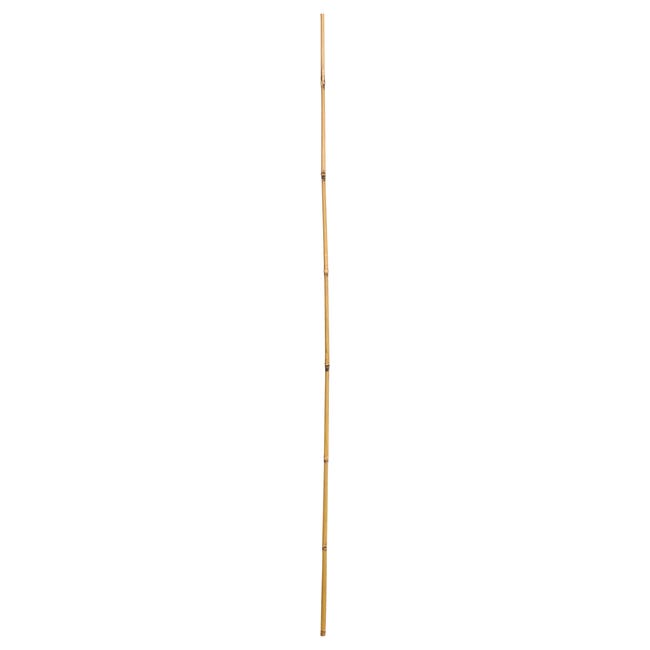 Tyczka bambusowa 150 cm x 12/14 mm Rim Kowalczyk
