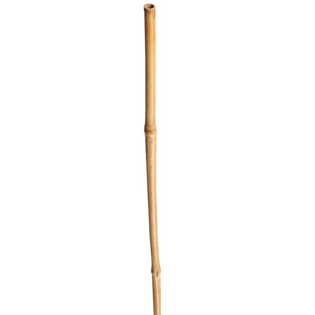 Tyczka bambusowa 210cm x 15/18 mm Nortene