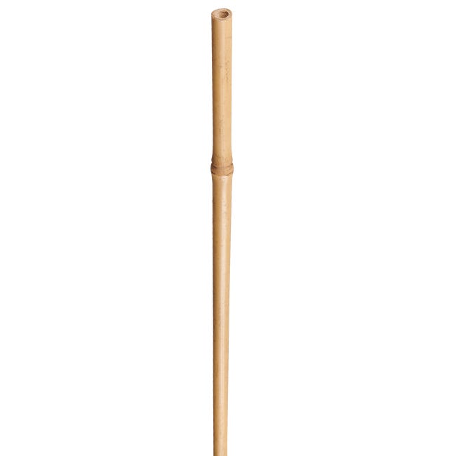 Tyczka bambusowa 90cm x 8/10 mm Nortene