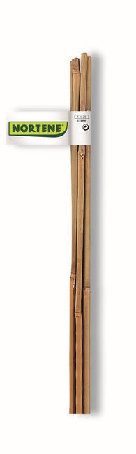 Tyczka bambusowa 90cm x 8/10 mm Nortene