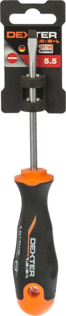 Wkrętak SL 5.5 x 100 mm Dexter Pro