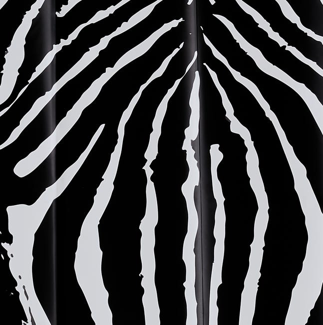Zasłonka prysznicowa Zebra 180 X 200 cm Sealskin
