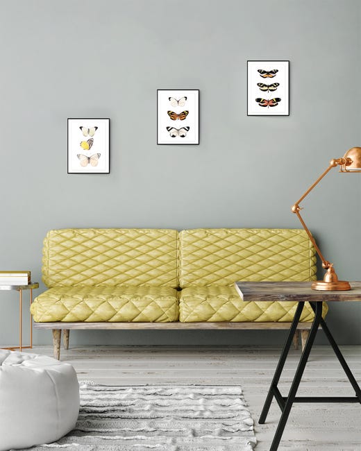 Zestaw 3 plakatów Motyle 21 x 30 cm