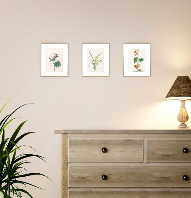 Zestaw 3 plakatów Rośliny 21 x 30 cm