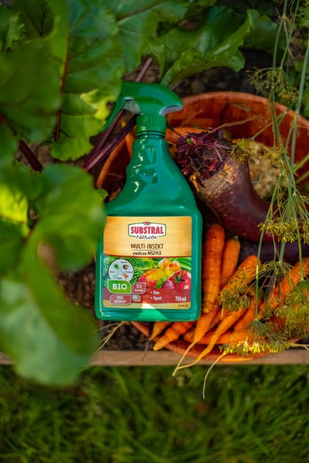 Środek owadobójczy Multi-insekt spray 750ml Substral