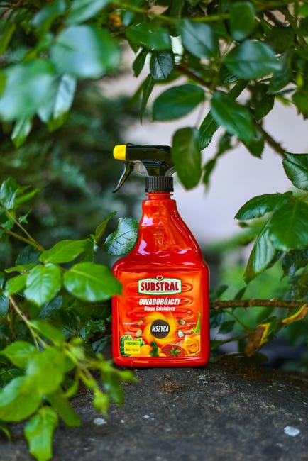 Środek owadobójczy Polysect Ultra Hobby spray 750ml Substral