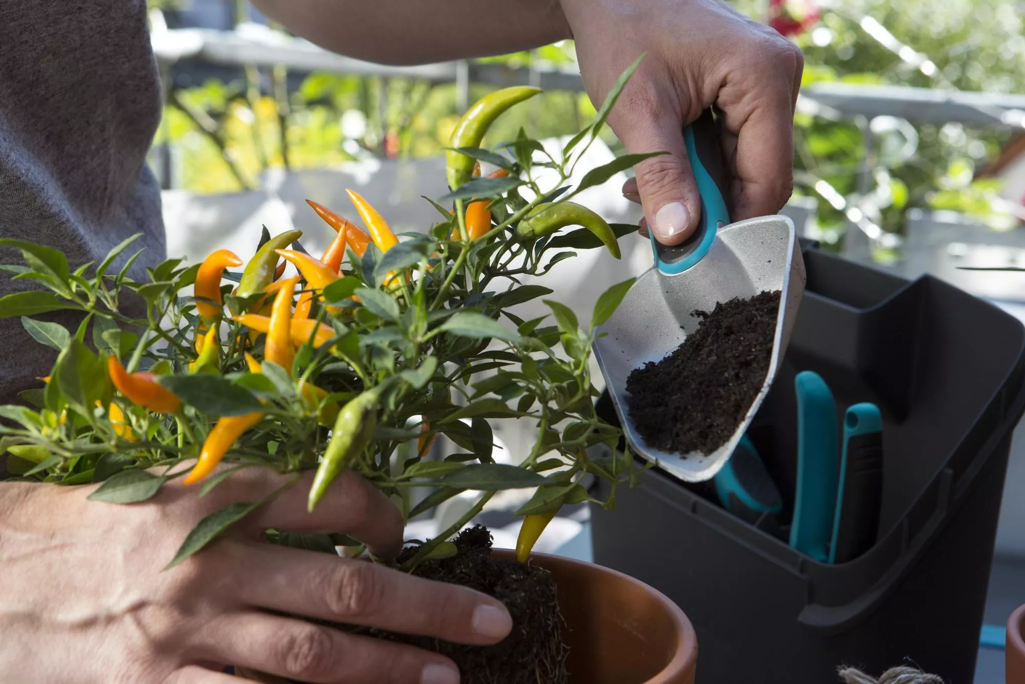 Balkonowy zestaw narzędzi Gardena City Gardening | 