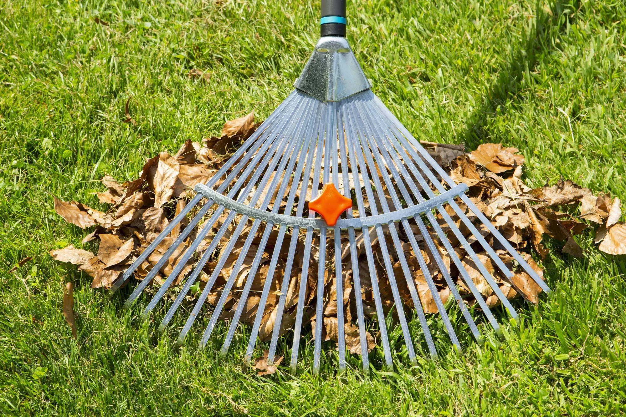 Grabie wachlarzowe Gardena NatureLine 30 – 50 cm | 