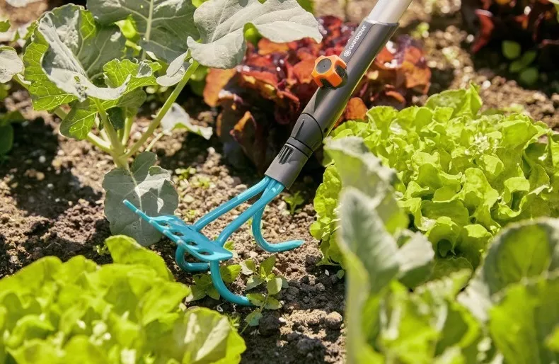Grabie z pazurkami Gardena Combisystem 2w1