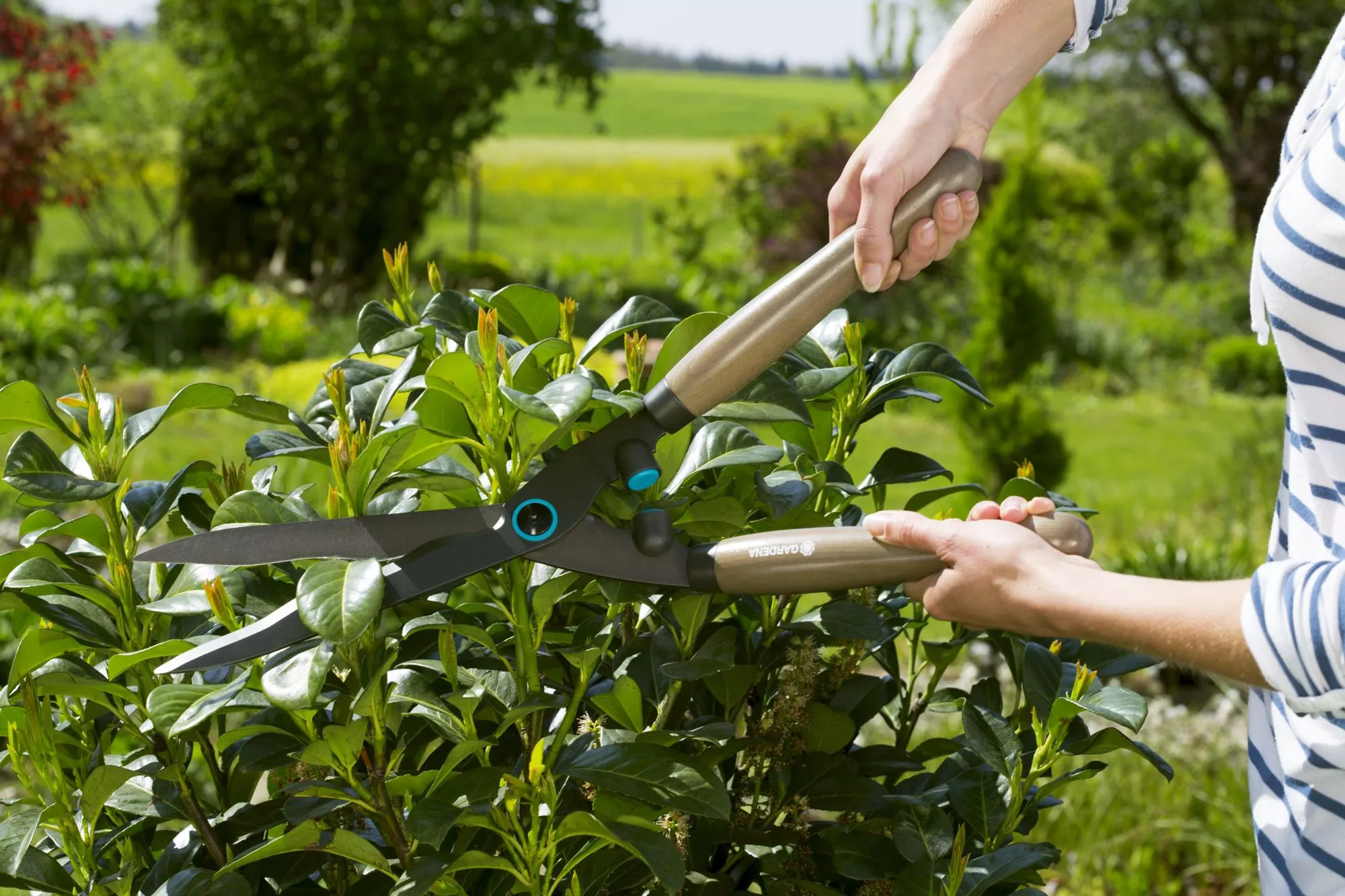 Nożyce do żywopłotu Gardena NatureCut