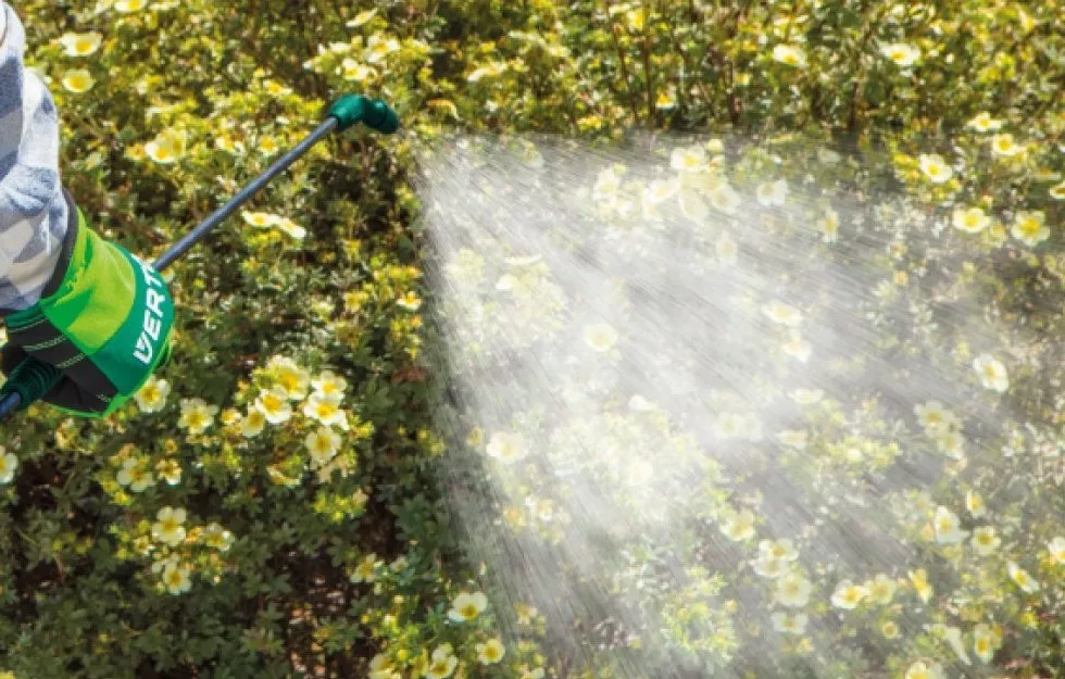 Opryskiwacz ciśnieniowy ręczny Verto 15G504 (3 l) | 