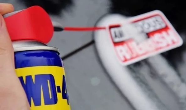 Preparat wielofunkcyjny WD-40 z aplikatorem (250 ml) | 