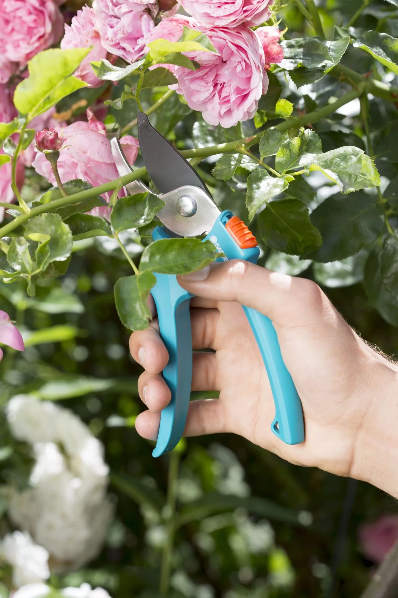 Sekator ogrodowy Gardena Classic