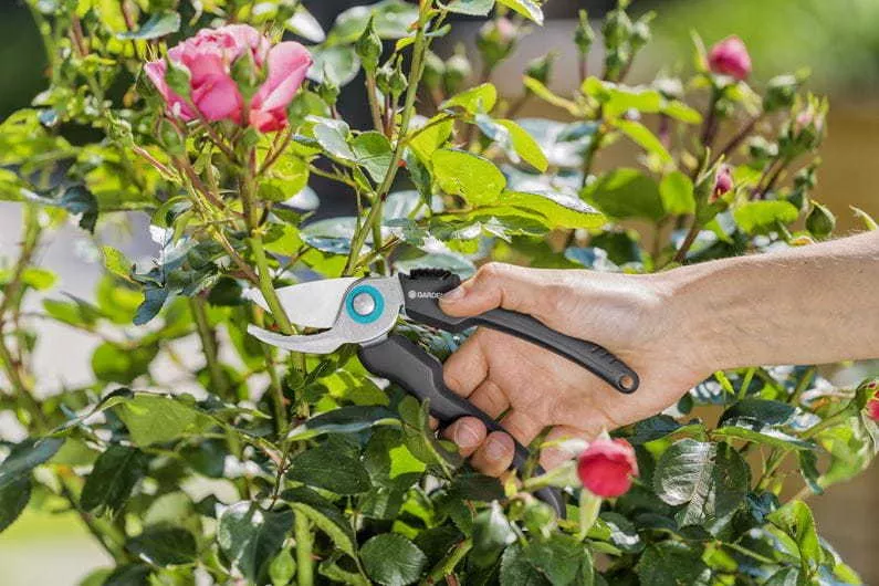 Sekator ogrodowy Gardena EcoLine