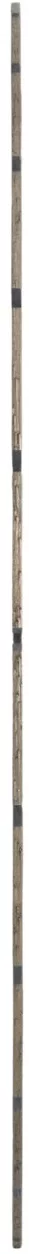 Tarcza diamentowa Tyrolit Premium TSU-Silent 625 x 3,6 mm 