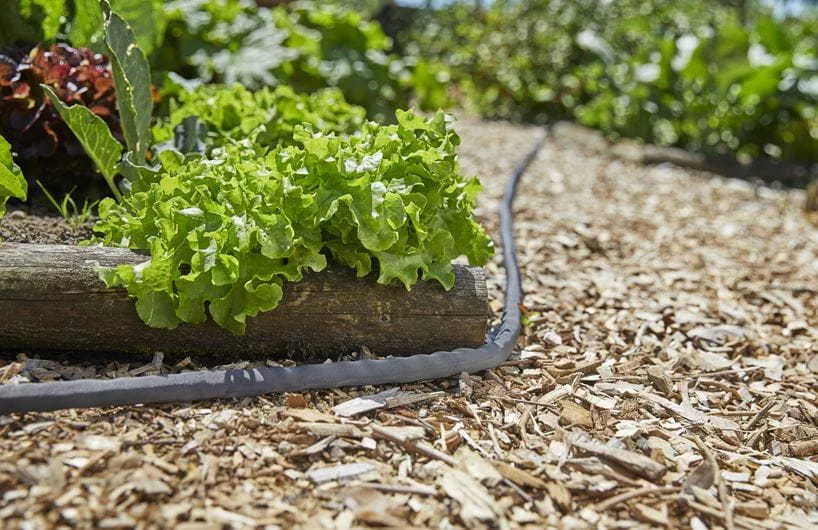 Wąż tekstylny Gardena Liano 15 m