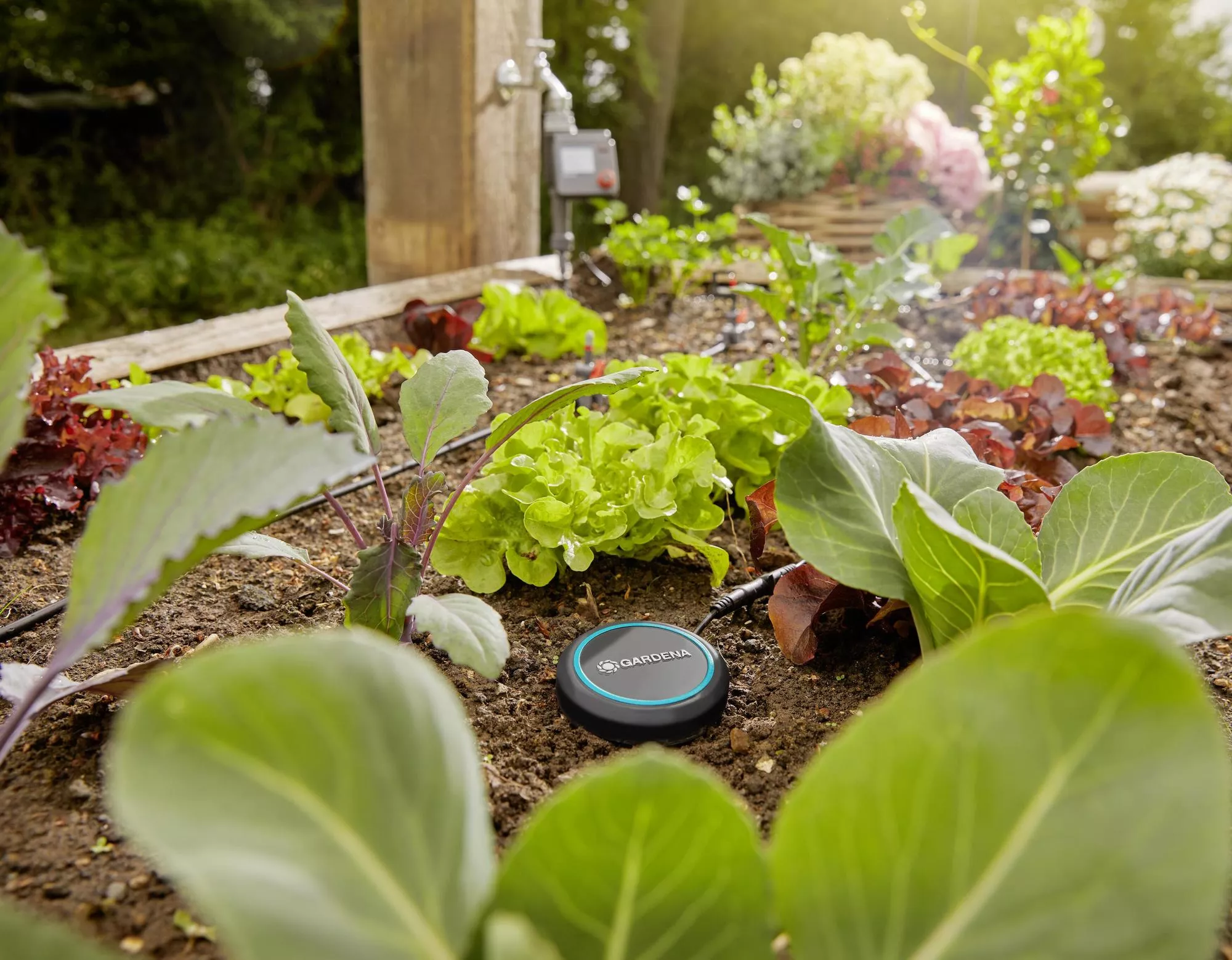 ☑️ Czujnik wilgotności gleby Gardena Water Controls ▷▷ 