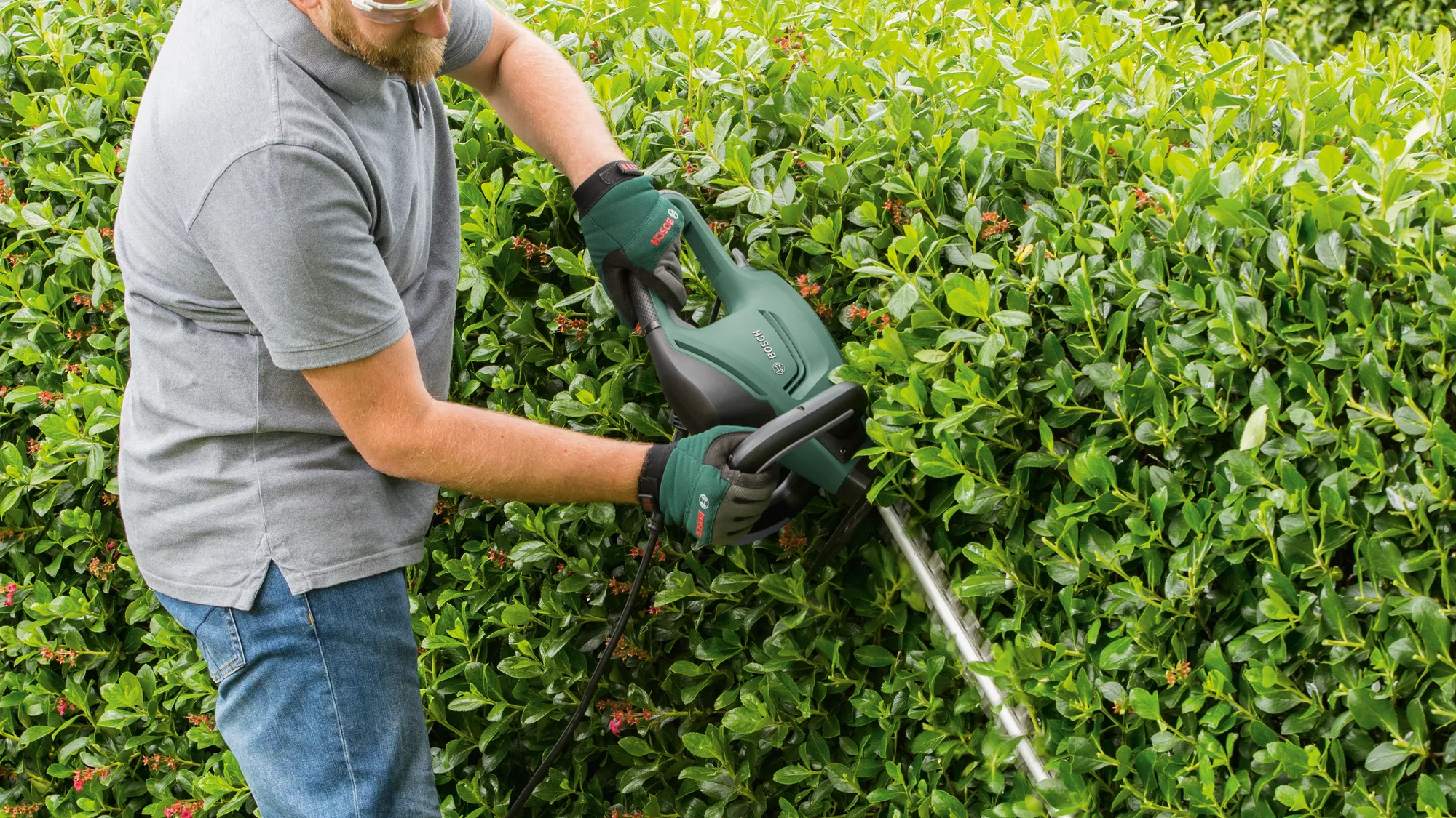 ☑️ Elektryczne nożyce do żywopłotu Bosch UniversalHedgeCut 50 ▷▷ 