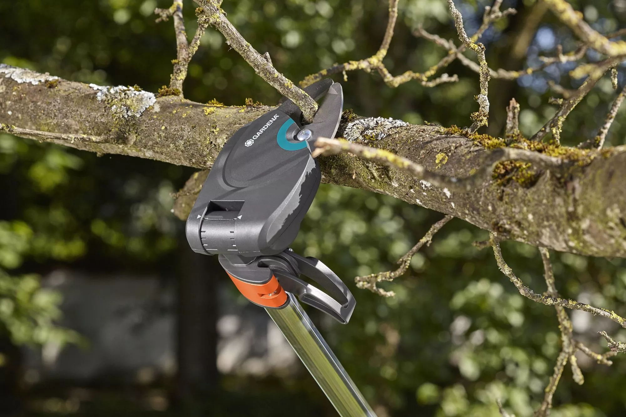 ☑️ Ręczne nożyce teleskopowe do gałęzi i krzewów Gardena Comfort StarCut 410  plus ▷▷ 